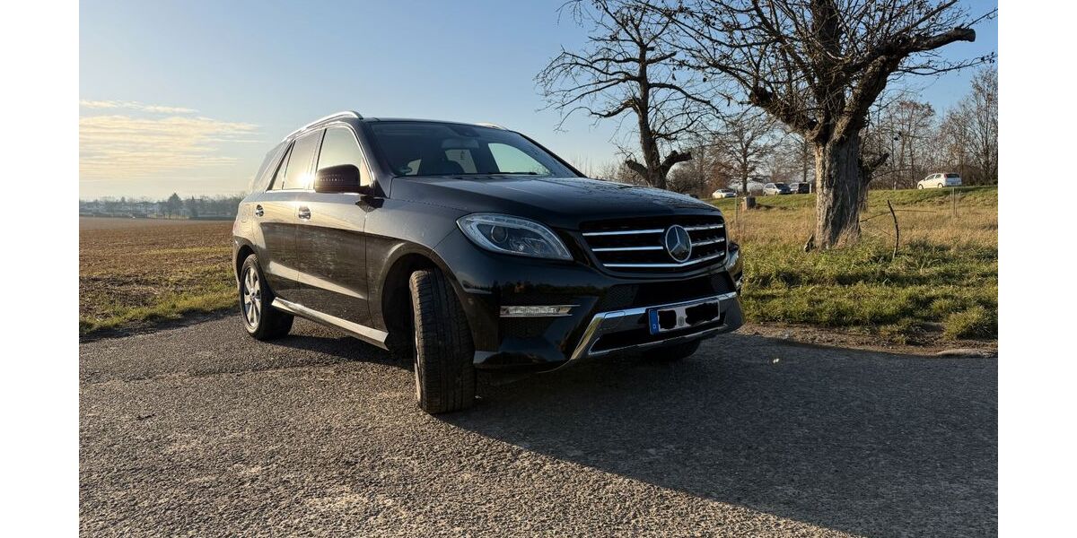 Mercedes-Benz ML 350 262.000 km 16.500 &euro; Kirchheim unter Teck 73230