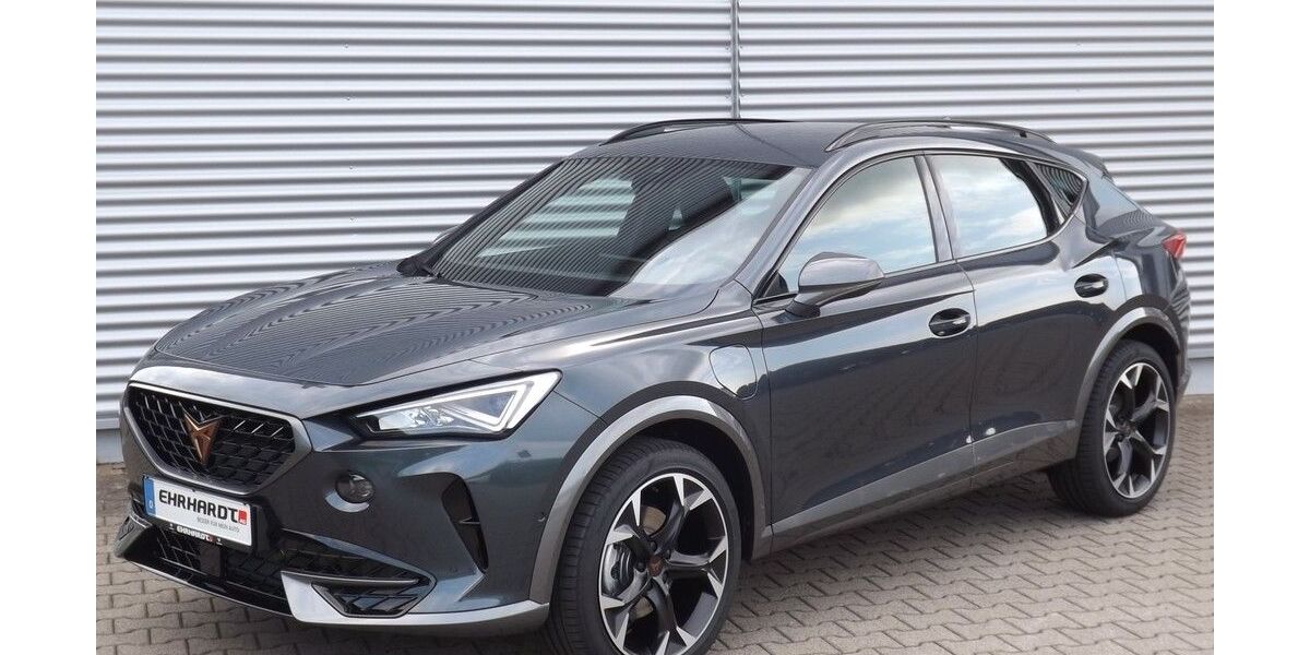 Cupra Formentor 36.740 km 23.950 &euro; Eisfeld 98673