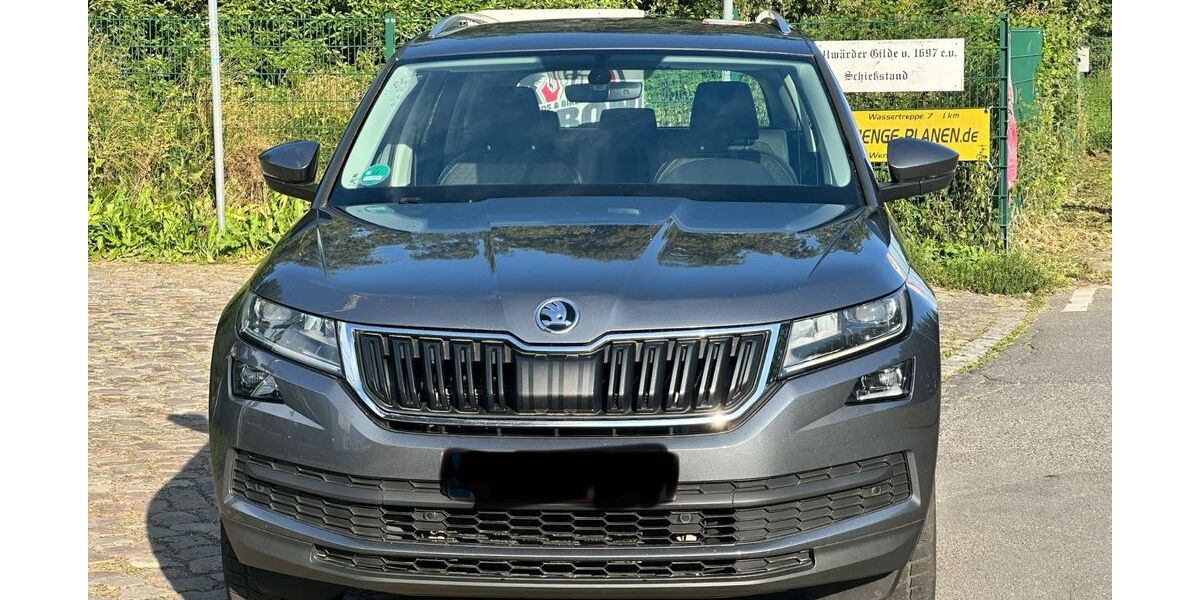 Skoda Kodiaq 171.000 km 17.250 &euro; Hamburg 22113