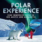 POLAR EXPERIENCE - Die immersive Ausstellung | Flex Ticket September