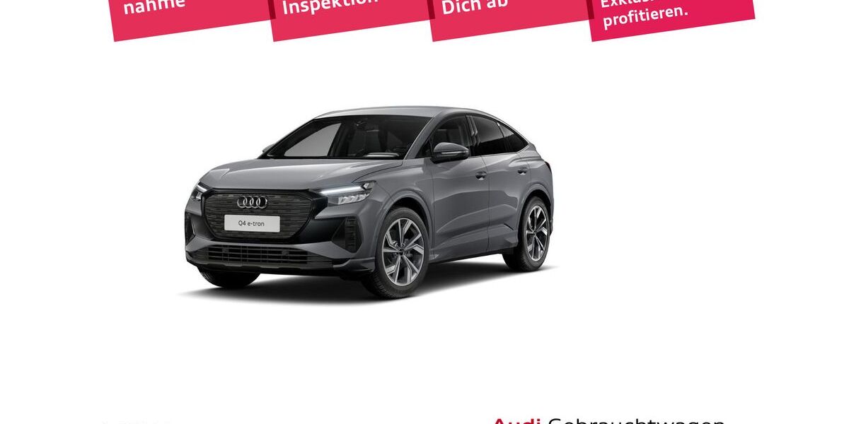 Audi Q4 e-tron 45.042 km 27.491 &euro; Weinheim 69469